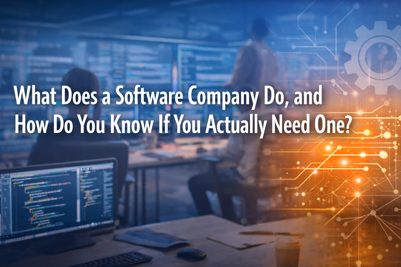 what does a software company do